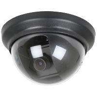 dome camera.png